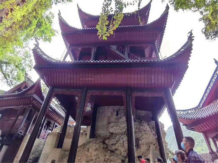 奔跑的兔子